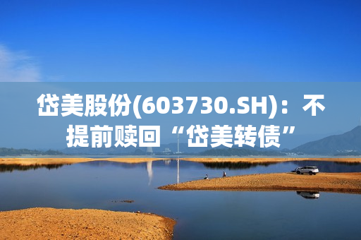岱美股份(603730.SH)：不提前赎回“岱美转债”
