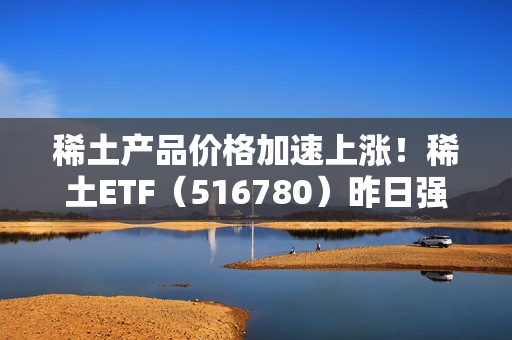 稀土产品价格加速上涨！稀土ETF（516780）昨日强势吸金2.9亿元，成交环比大增超185% 第1张