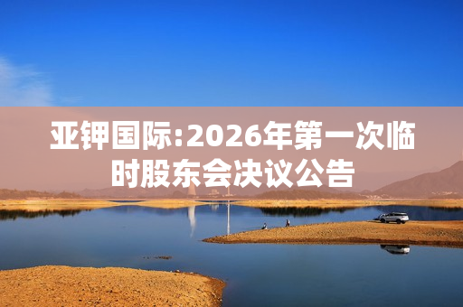 亚钾国际:2026年第一次临时股东会决议公告 第1张