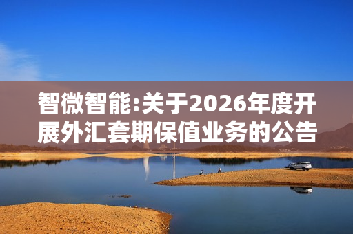 智微智能:关于2026年度开展外汇套期保值业务的公告