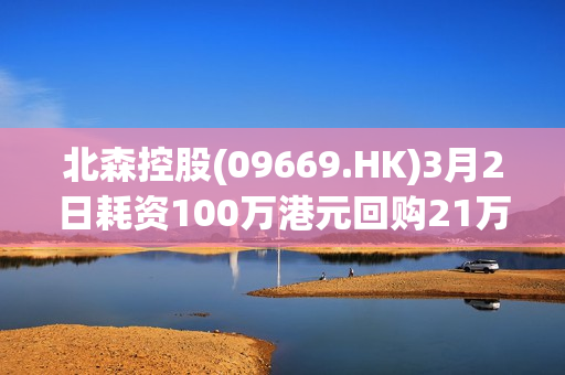 北森控股(09669.HK)3月2日耗资100万港元回购21万股 第1张