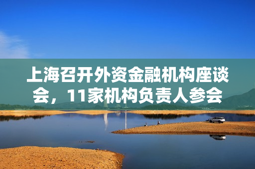 上海召开外资金融机构座谈会，11家机构负责人参会