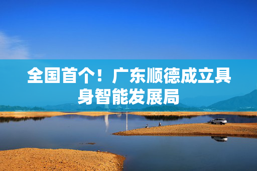 全国首个!广东顺德成立具身智能发展局 第1张 全国首个!广东顺德成立具身智能发展局 第1张