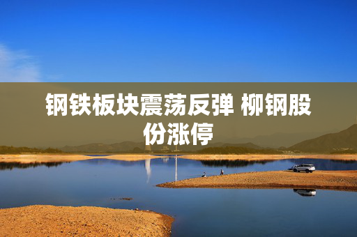 钢铁板块震荡反弹 柳钢股份涨停 第1张