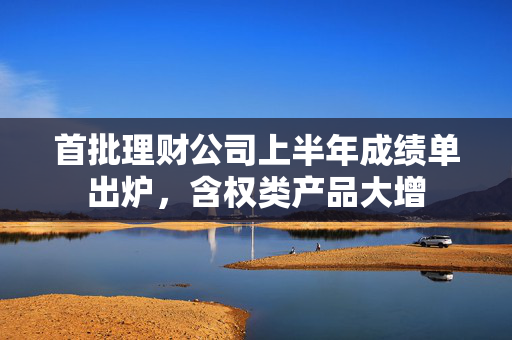 首批理财公司上半年成绩单出炉，含权类产品大增 第1张