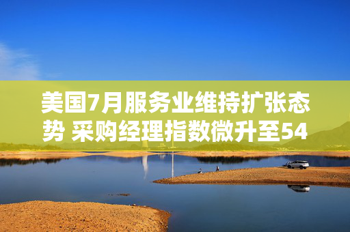美国7月服务业维持扩张态势 采购经理指数微升至54.1