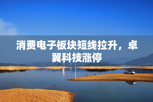 消费电子板块短线拉升，卓翼科技涨停 第1张