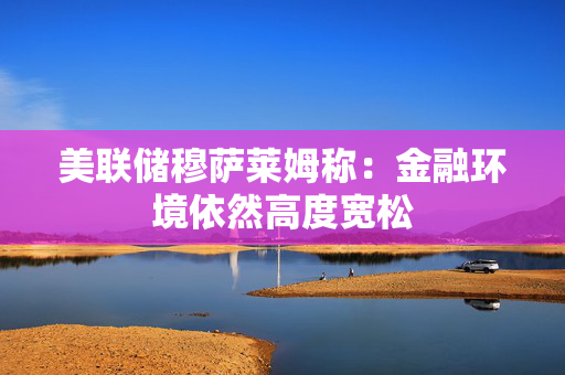 美联储穆萨莱姆称：金融环境依然高度宽松