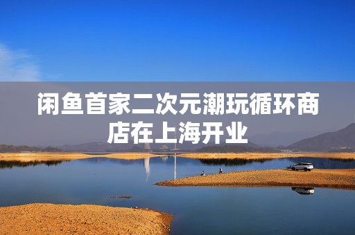 闲鱼首家二次元潮玩循环商店在上海开业