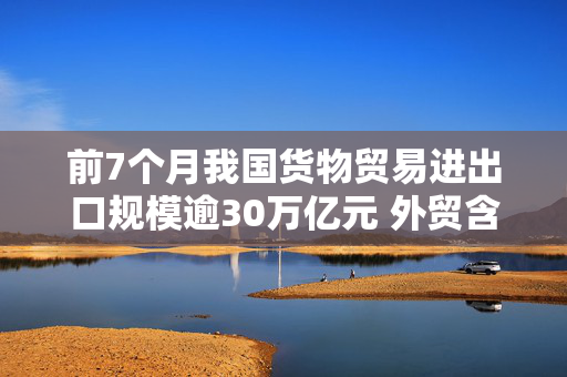 前7个月我国货物贸易进出口规模逾30万亿元 外贸含“新”量稳步提升 进口增速继续快于出口