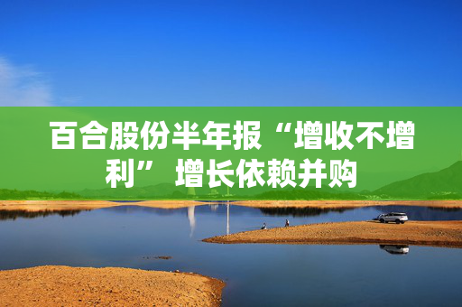 百合股份半年报“增收不增利” 增长依赖并购