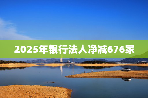 2025年银行法人净减676家