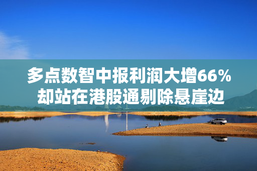 多点数智中报利润大增66% 却站在港股通剔除悬崖边