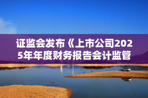 证监会发布《上市公司2025年年度财务报告会计监管报告》 不断完善上市公司财务信息披露监管工作机制