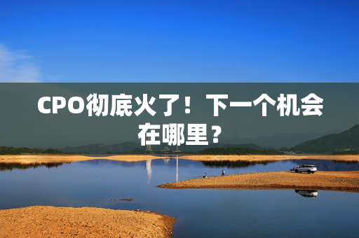 CPO彻底火了！下一个机会在哪里？