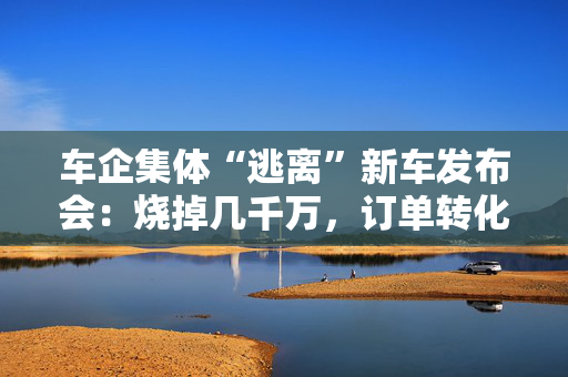 车企集体“逃离”新车发布会：烧掉几千万，订单转化率却越来越差 第1张