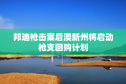 邦迪枪击案后澳新州将启动枪支回购计划