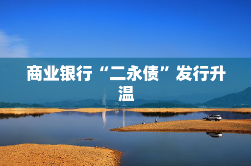 商业银行“二永债”发行升温 第1张 商业银行“二永债”发行升温 第1张