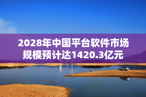 2028年中国平台软件市场规模预计达1420.3亿元 第1张
