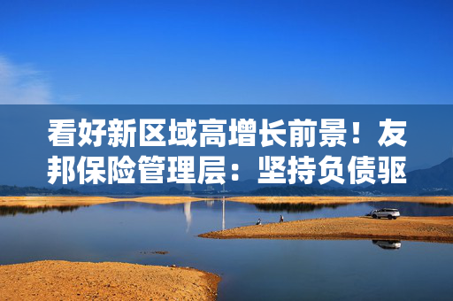 看好新区域高增长前景！友邦保险管理层：坚持负债驱动资产策略