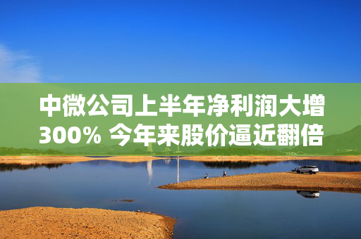 中微公司上半年净利润大增300% 今年来股价逼近翻倍,机构持仓稳固