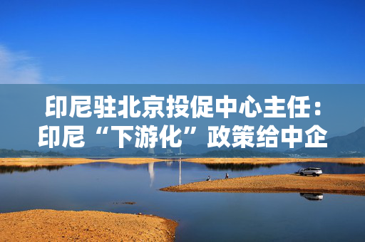 印尼驻北京投促中心主任：印尼“下游化”政策给中企出海创造机遇