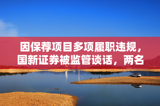 因保荐项目多项履职违规，国新证券被监管谈话，两名保代一年内不得履职 第1张