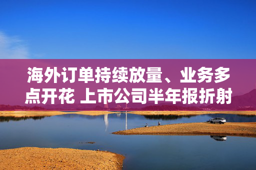 海外订单持续放量、业务多点开花 上市公司半年报折射外贸韧性强