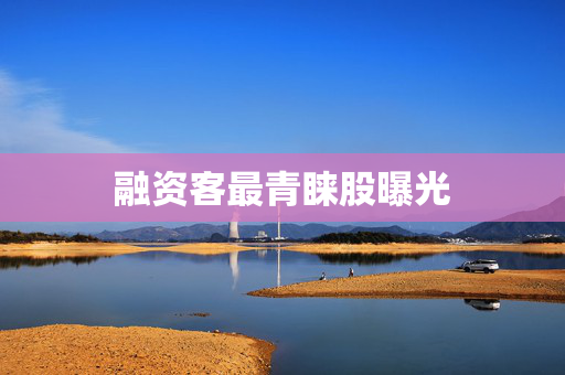 融资客最青睐股曝光