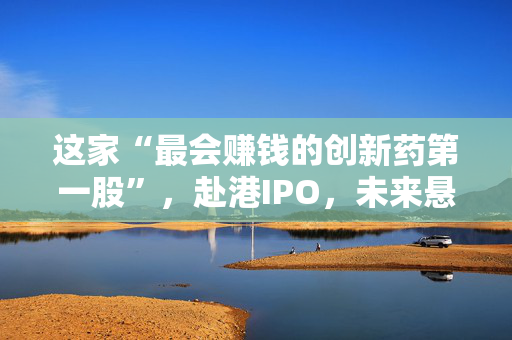 这家“最会赚钱的创新药第一股”，赴港IPO，未来悬念重重……