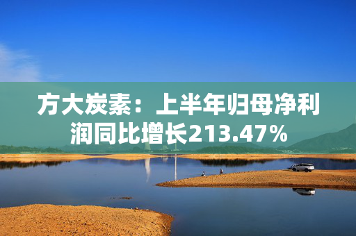 方大炭素：上半年归母净利润同比增长213.47%