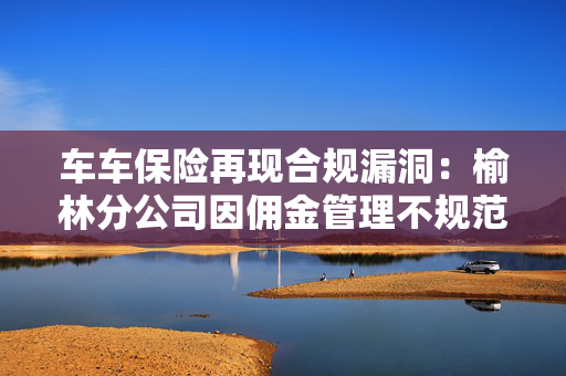 车车保险再现合规漏洞：榆林分公司因佣金管理不规范等被罚8万元 第1张