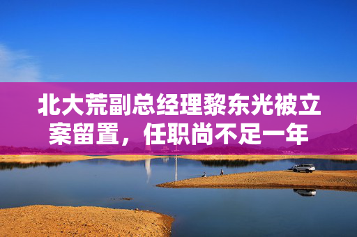 北大荒副总经理黎东光被立案留置，任职尚不足一年