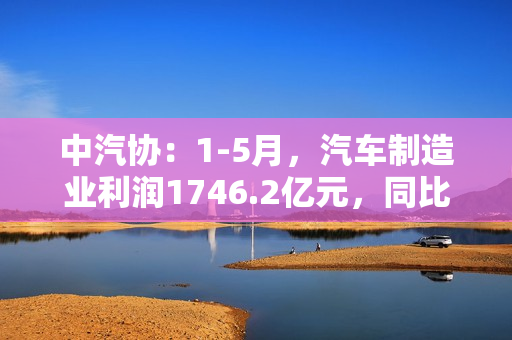 中汽协：1-5月，汽车制造业利润1746.2亿元，同比增加24.3%