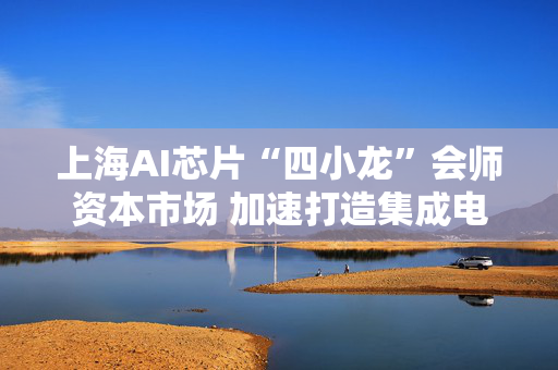 上海AI芯片“四小龙”会师资本市场 加速打造集成电路产业高地