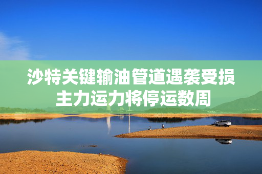 沙特关键输油管道遇袭受损 主力运力将停运数周