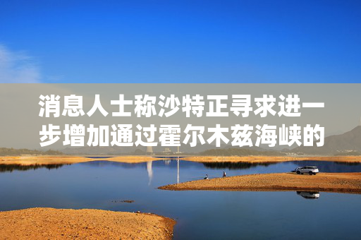 消息人士称沙特正寻求进一步增加通过霍尔木兹海峡的石油供应