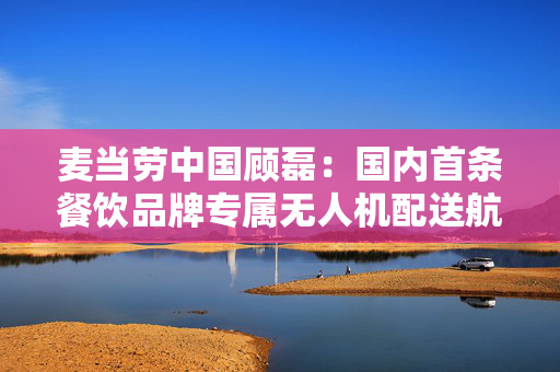 麦当劳中国顾磊：国内首条餐饮品牌专属无人机配送航线开通