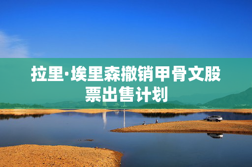 拉里·埃里森撤销甲骨文股票出售计划