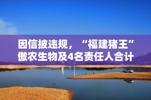 因信披违规,“福建猪王”傲农生物及4名责任人合计被罚565万元 第1张 因信披违规,“福建猪王”傲农生物及4名责任人合计被罚565万元 第1张