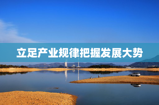 立足产业规律把握发展大势