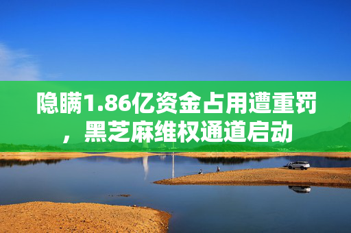 隐瞒1.86亿资金占用遭重罚，黑芝麻维权通道启动