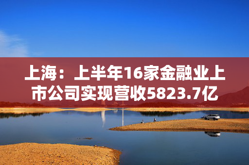 上海：上半年16家金融业上市公司实现营收5823.7亿元 盈利规模稳居各行业首位