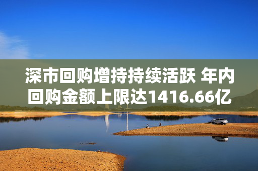 深市回购增持持续活跃 年内回购金额上限达1416.66亿元