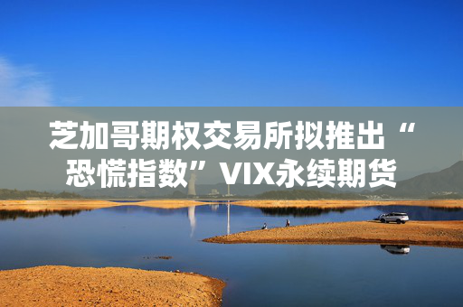 芝加哥期权交易所拟推出“恐慌指数”VIX永续期货 第1张 芝加哥期权交易所拟推出“恐慌指数”VIX永续期货 第1张