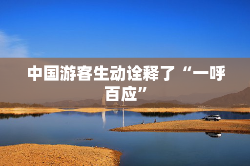 中国游客生动诠释了“一呼百应”