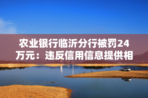 农业银行临沂分行被罚24万元：违反信用信息提供相关管理规定