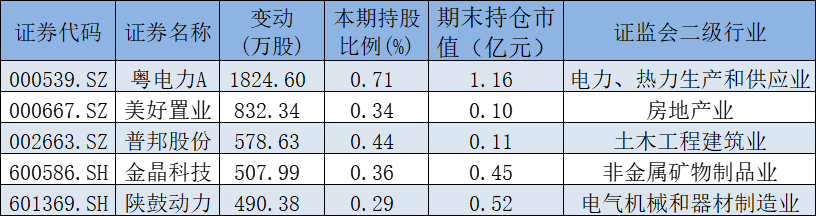 国家队一季度最新操盘：新进粤电力等5股前十大流通股东，增仓10股 第1张