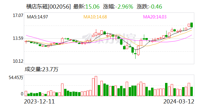 横店东磁(002056.SZ)：业绩增速放缓 理财投资亏损近3亿元 第1张