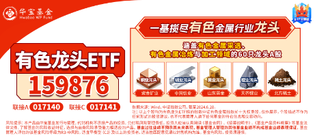 有色金属领涨两市！美国再通胀逻辑+锂矿找矿重大突破，有色龙头ETF（159876）最高上探2.87% 第6张